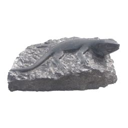 Lizzard on rock kalksteen 30x30x20 cm grijs